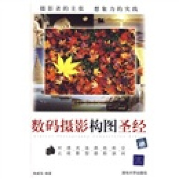 數(shù)碼攝影構(gòu)圖