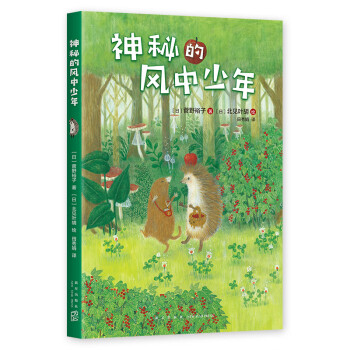 神秘的風中少年 神秘的風中少年