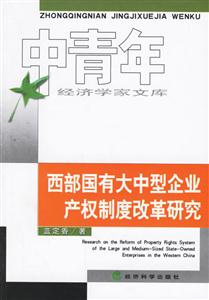 西部國有大中型企業產權制度改革研究 西部國有大中型企業產權制度改革研究