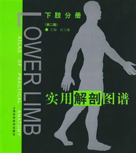 實用解剖圖譜下肢分冊