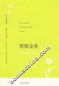 黑郁金香 黑郁金香