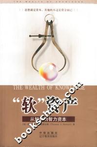 “軟”資產從知識到智力資本 “軟”資產從知識到智力資本