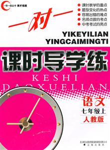 語文七年級上人教版一對一課時導學練 語文七年級上人教版一對一課時導學練