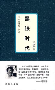 王小波全集第八卷黑鐵時代 王小波全集第八卷黑鐵時代